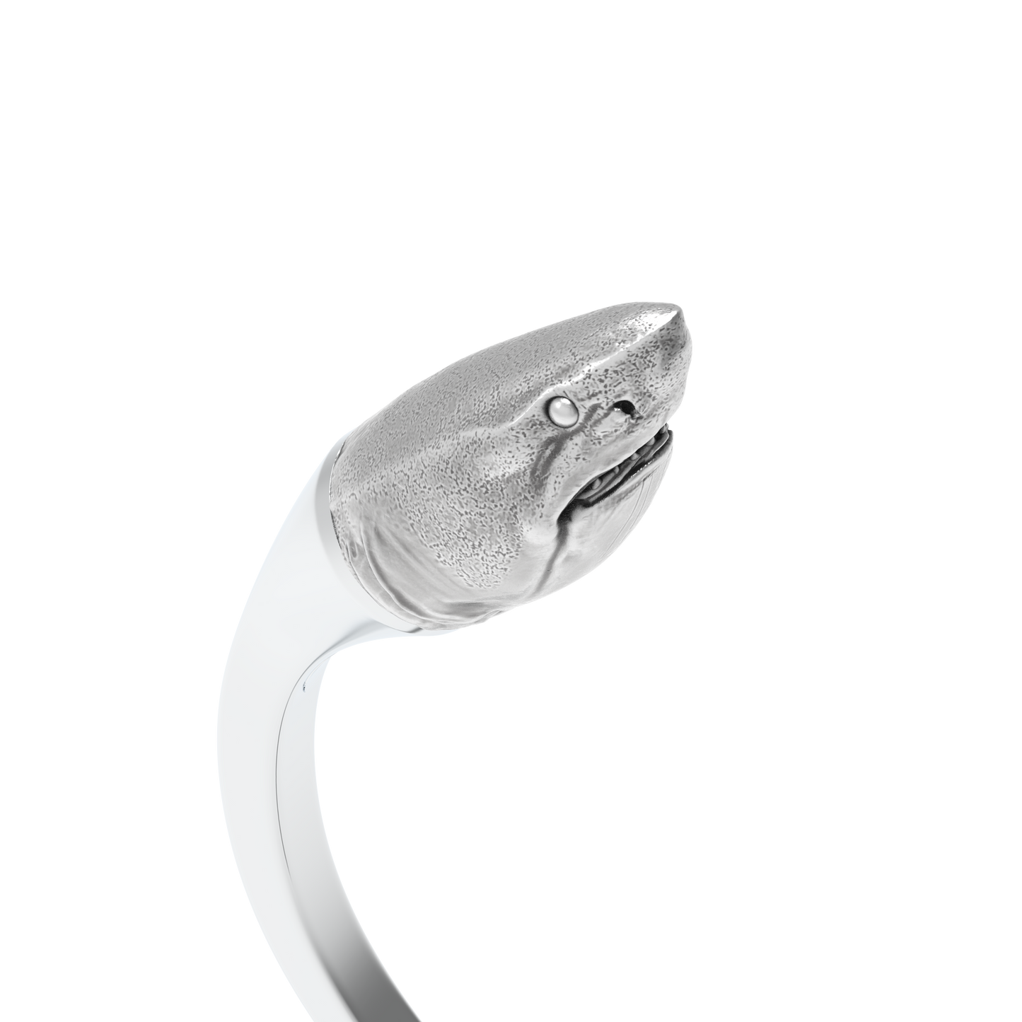 Requin Blanc