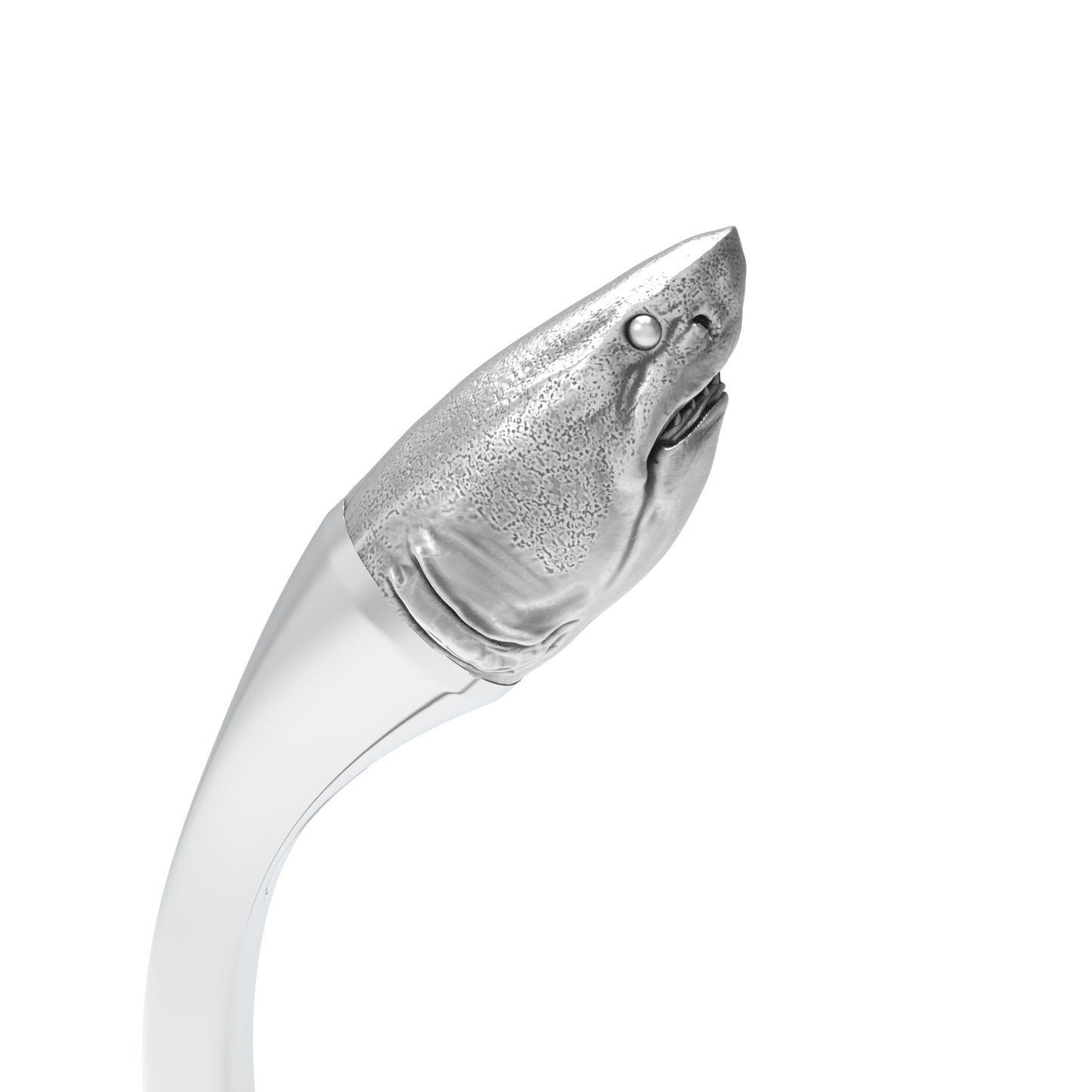 Requin Blanc