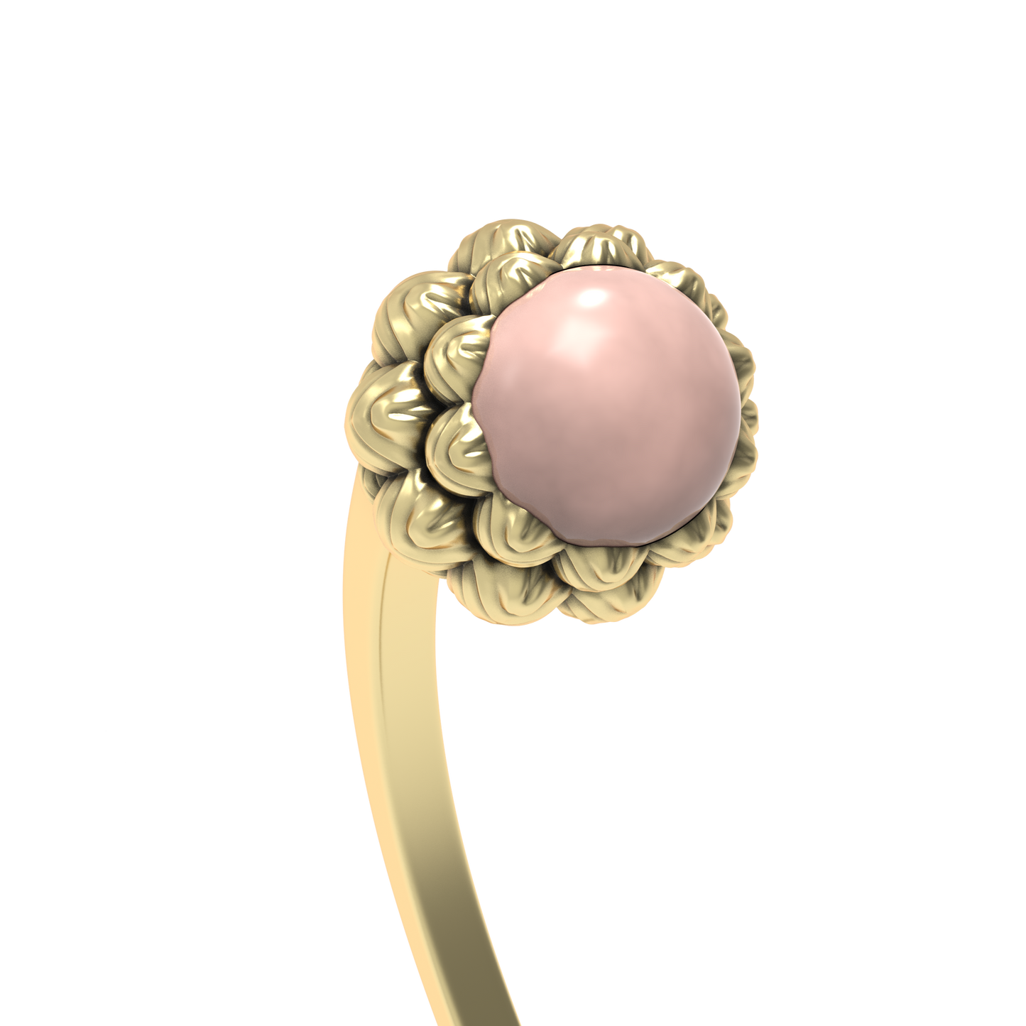 Embout Coquillage | Shell bead