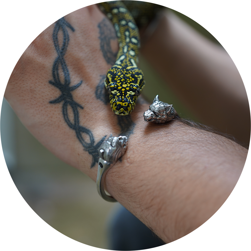 Embout Loup | Wolf bead