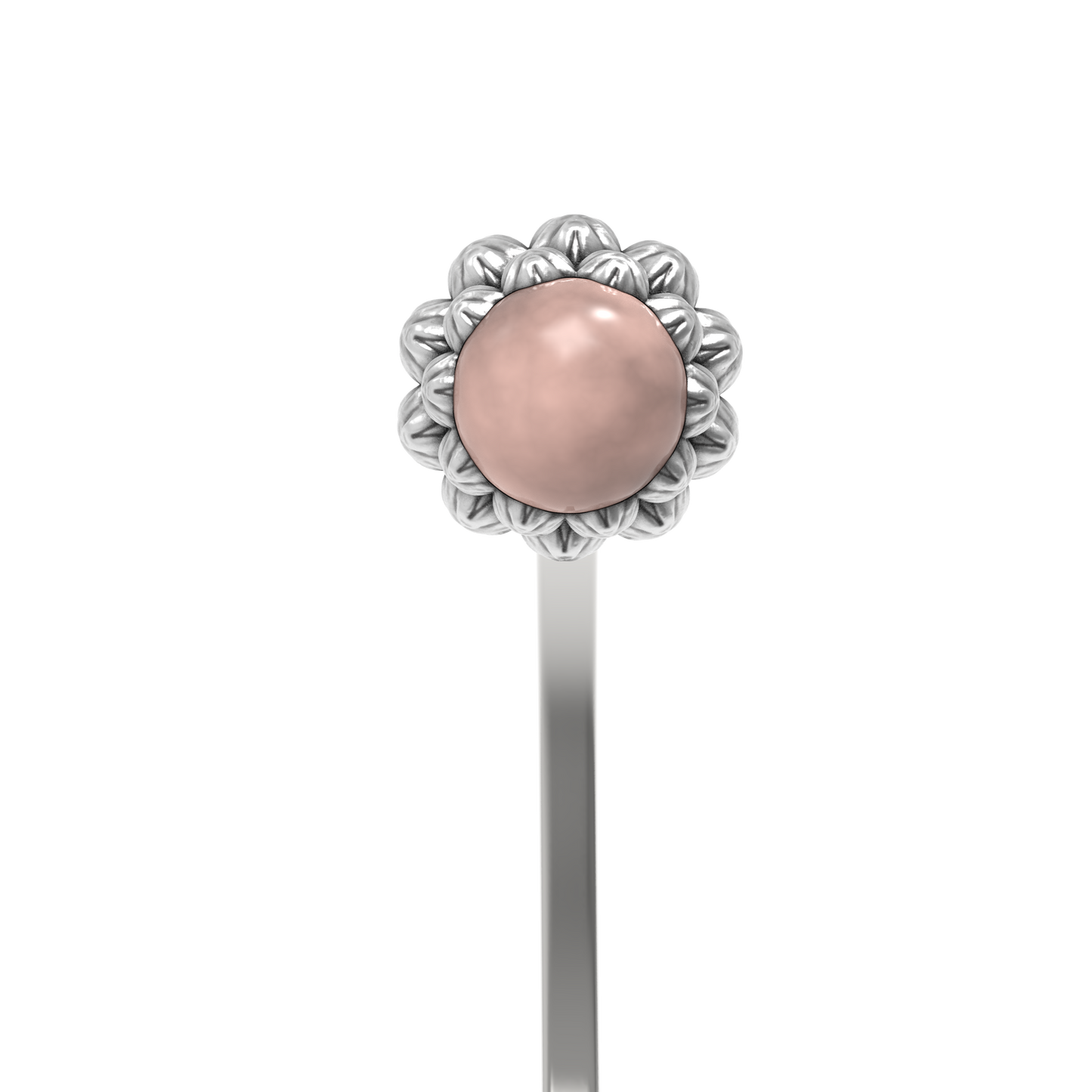 Embout Coquillage | Shell bead