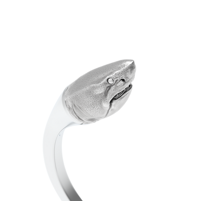Requin Blanc