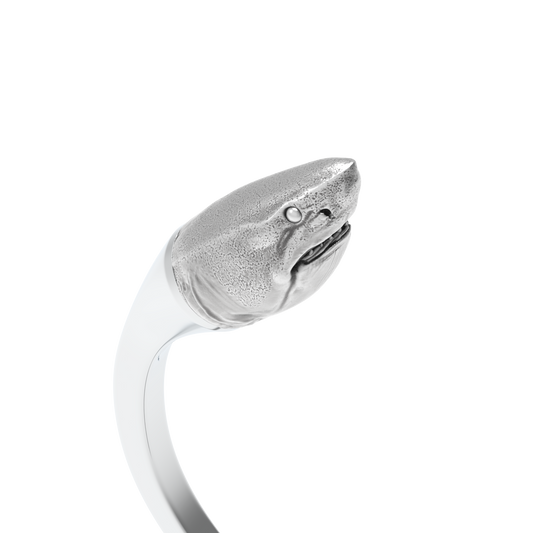Requin Blanc