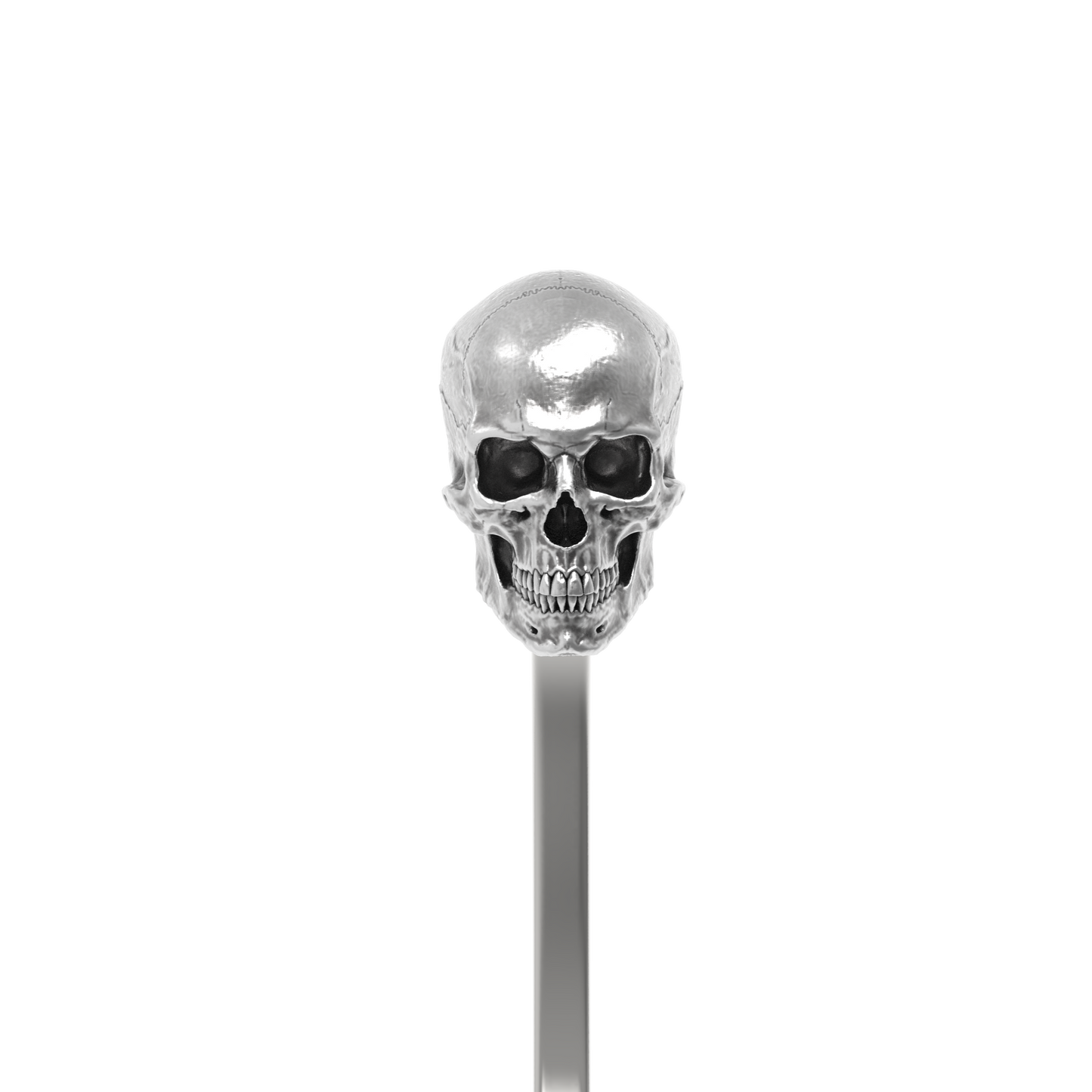 Tête de mort classique | Classic Skull