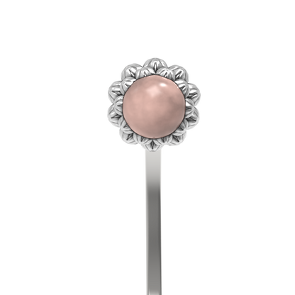 Embout Coquillage |  Shell bead